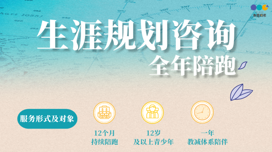 教育减法生涯规划咨询 (全年陪跑版)2